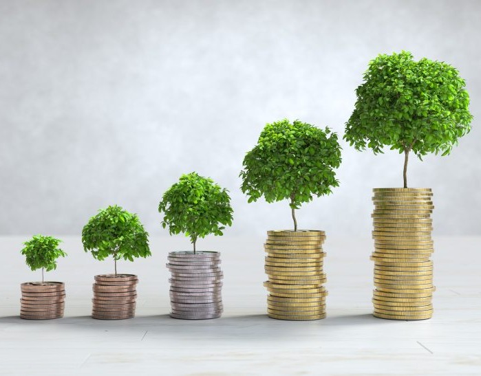 Investasi Ramah Lingkungan: Tren Baru Yang Menguntungkan