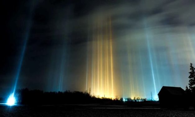 Ragam Fenomena Unik Dalam Kehidupan Sehari-Hari